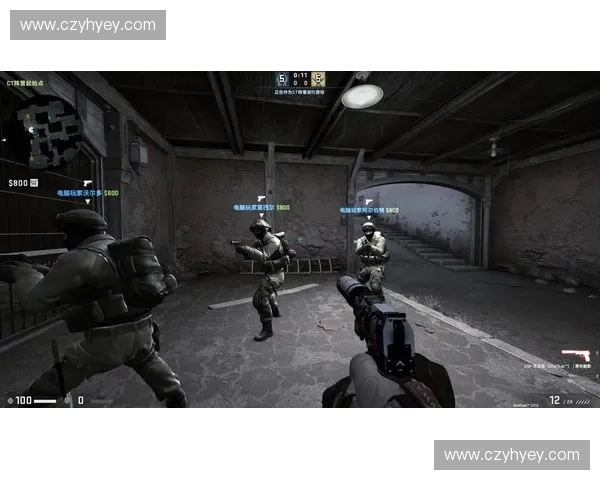 D网CSGO全新玩法揭秘 新手如何快速提升竞技水平及战术运用